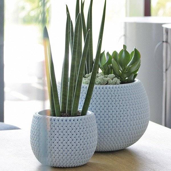 Кашпо для цветов SPLOFY BOWL голубой 2 предмета 9л Кашпо для цветов SPLOFY BOWL голубой 2 предмета 9л